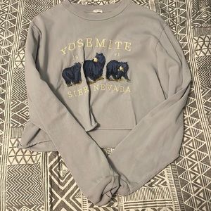PacSun Cropped Long Sleeve